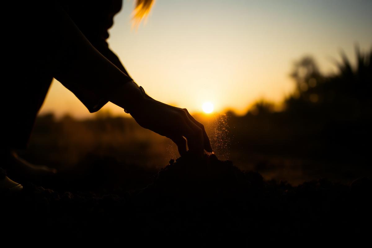Silhouetted hands working soil at dusk
